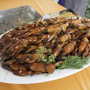 crayfish on a plate