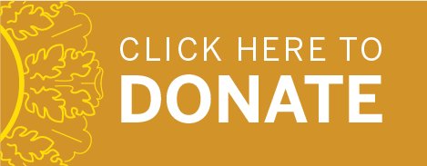 Centennial Sidebar Donate button