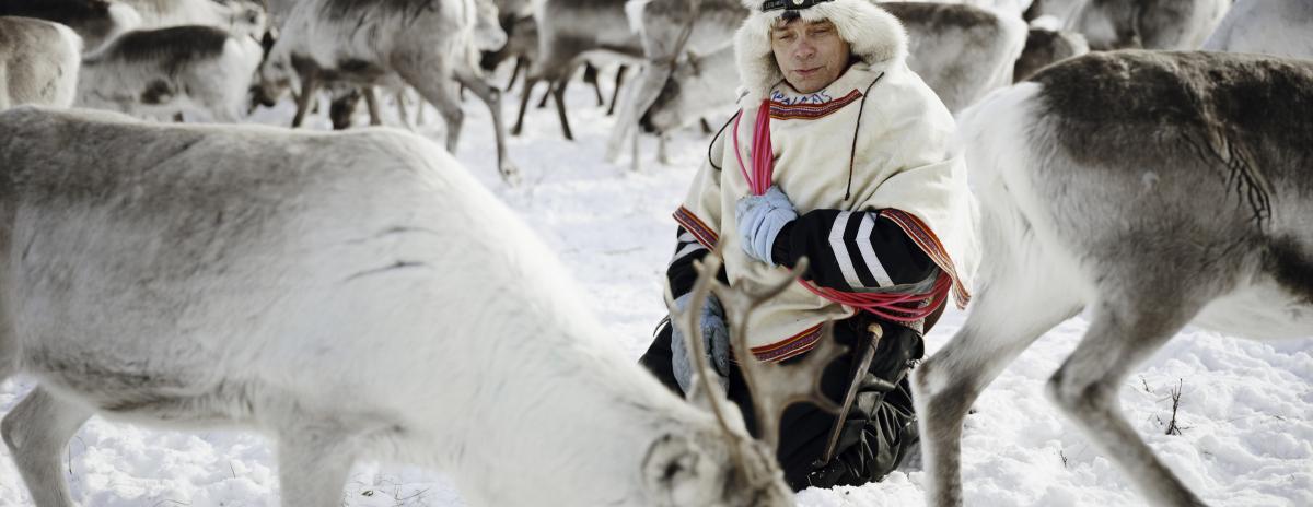 Sami—Walking with Reindeer American Swedish Historical Museum