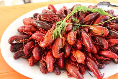 Crayfish