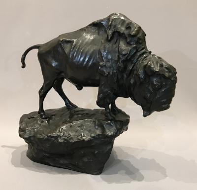 Bison