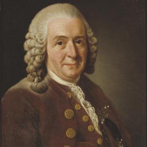 Carl Linnaeus