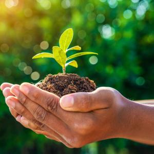 dirt in hands earth image