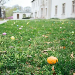 Easter Eggs in Grass Easter Eggs in Grass