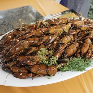 crayfish on a plate crayfish on a plate
