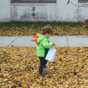Child in leaves