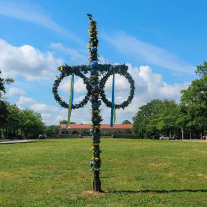 Midsommar May pole in field