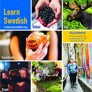 ASHM Virtual Swedish Language Classes Begin the Week of Sept. 14th