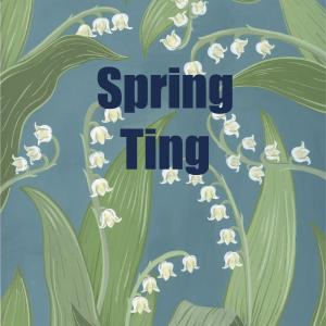 spring ting logo spring ting logo