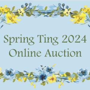 Spring Ting Online Auction