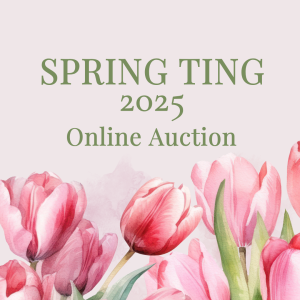 Spring TIng Online Auction Spring Ting Online Auction