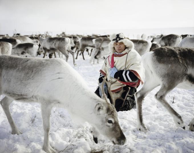Sami—Walking with Reindeer American Swedish Historical Museum